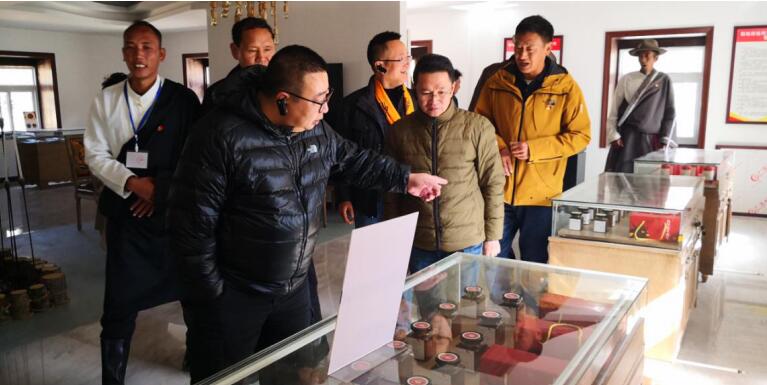 �����������������鸰�������ͬ�嶽���Կڰ������