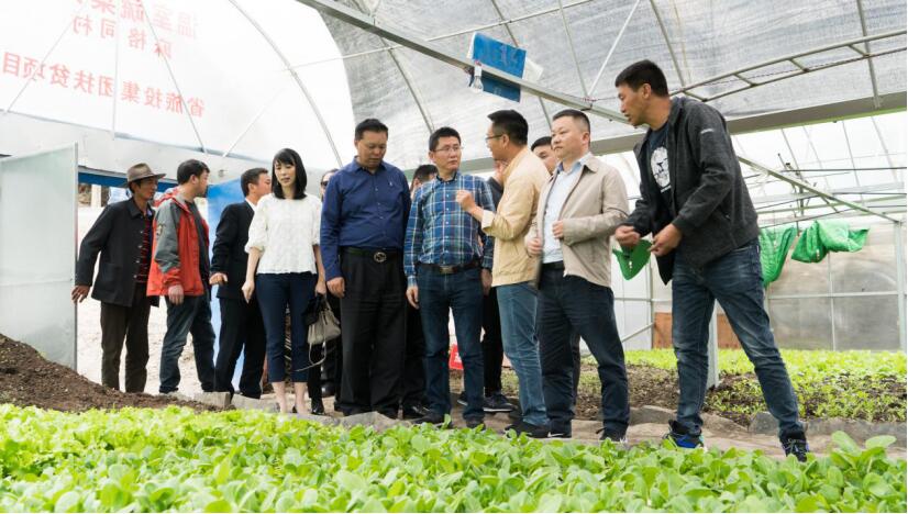 �����򵼵��ж������ͬ��������