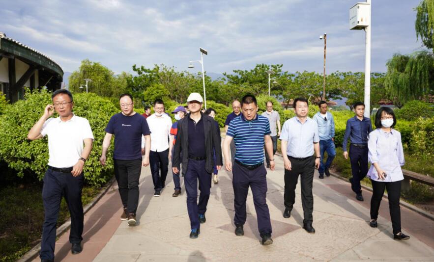 ���껨ʢ�� ����������Լ�����������������Ÿ���ɽ���缯����������Ŀ����Ч��