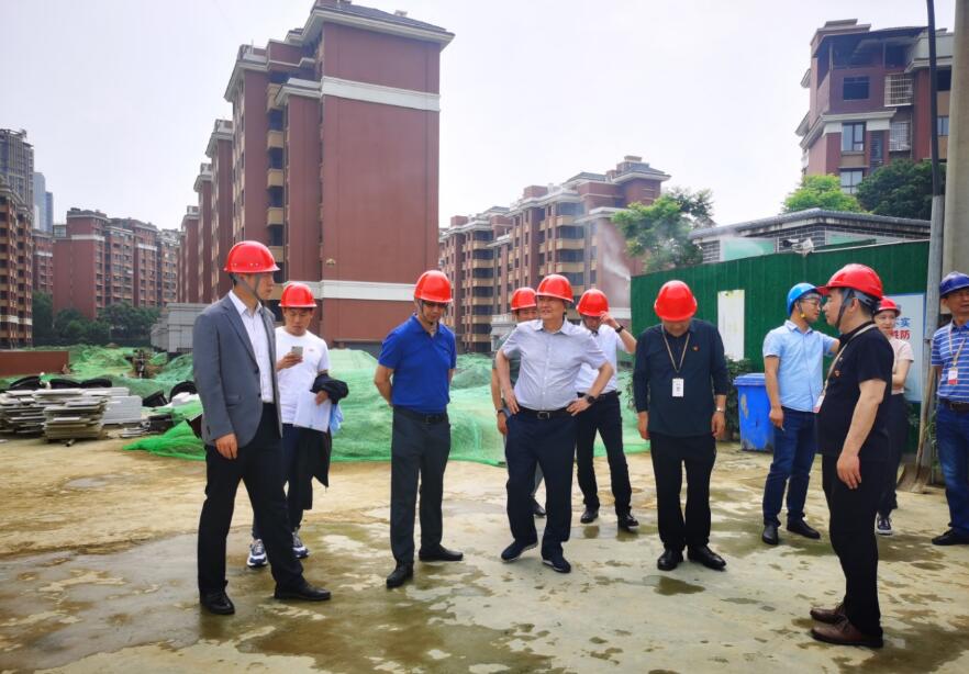 ½ñÄê»á¹ÙÍø¼¯ÍÅı»®ÌáÉýÄêרÔðÊÂÇé×é ¿ªÕ¹ÏµÁÐÏîÄ¿¶½µ¼