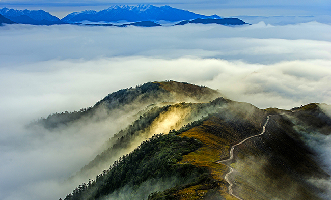 ����� | �ٷ���վ